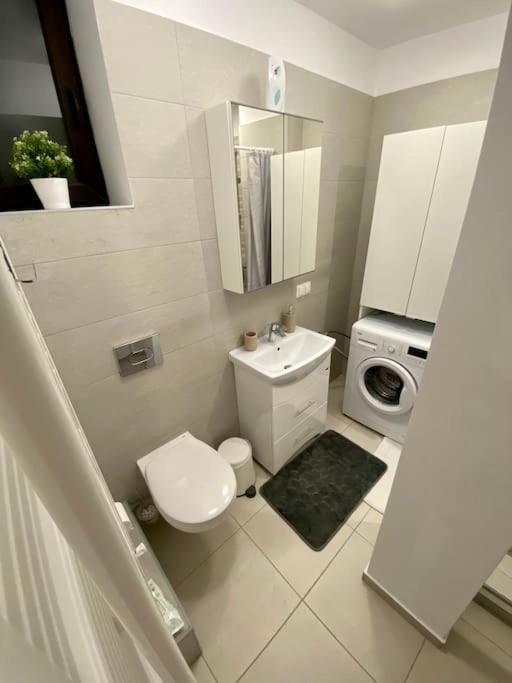 Cozy Central Apartment With 2 Rooms ブカレスト エクステリア 写真