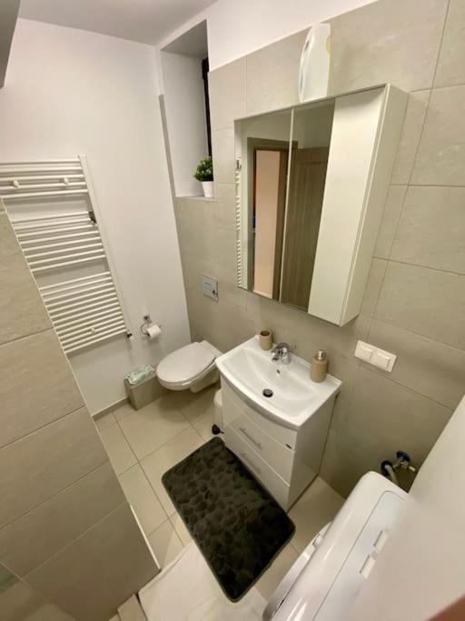 Cozy Central Apartment With 2 Rooms ブカレスト エクステリア 写真